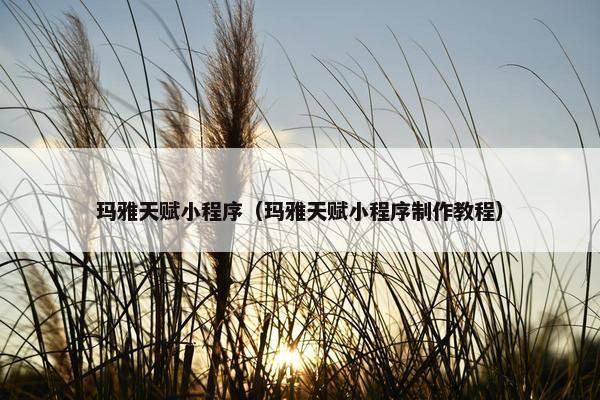 玛雅天赋小程序（玛雅天赋小程序制作教程）
