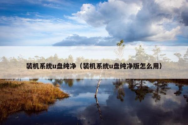 装机系统u盘纯净（装机系统u盘纯净版怎么用）