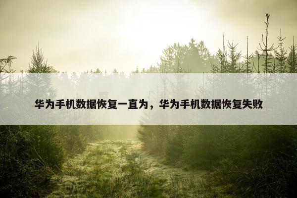 华为手机数据恢复一直为，华为手机数据恢复失败