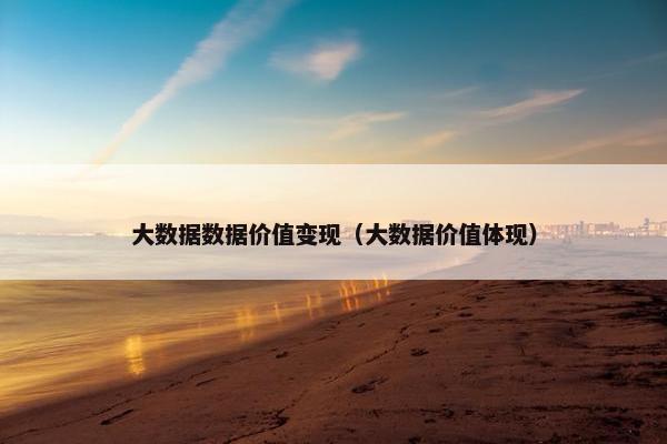 大数据数据价值变现（大数据价值体现）