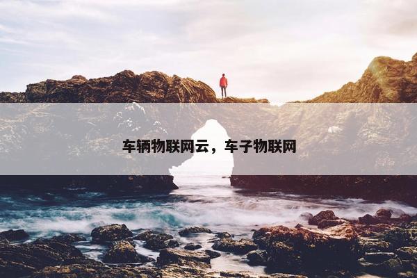 车辆物联网云，车子物联网