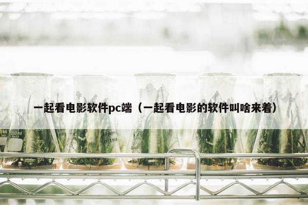 一起看电影软件pc端（一起看电影的软件叫啥来着）