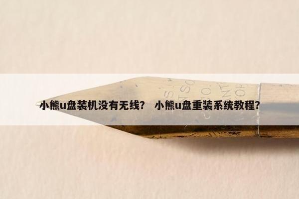小熊u盘装机没有无线？ 小熊u盘重装系统教程？