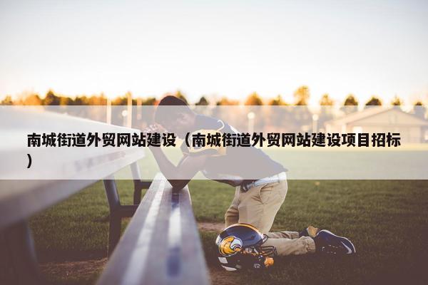 南城街道外贸网站建设（南城街道外贸网站建设项目招标）
