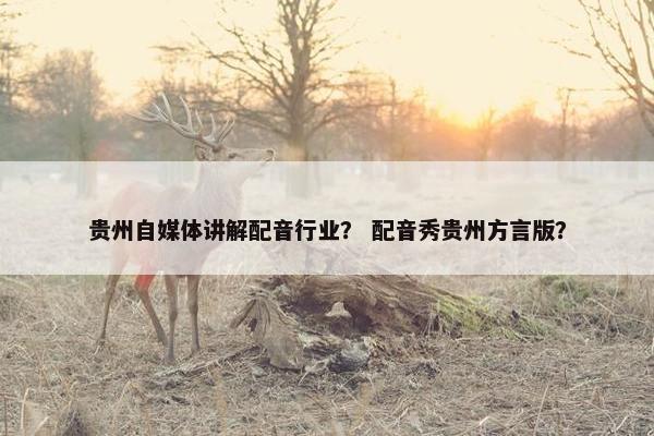贵州自媒体讲解配音行业？ 配音秀贵州方言版？