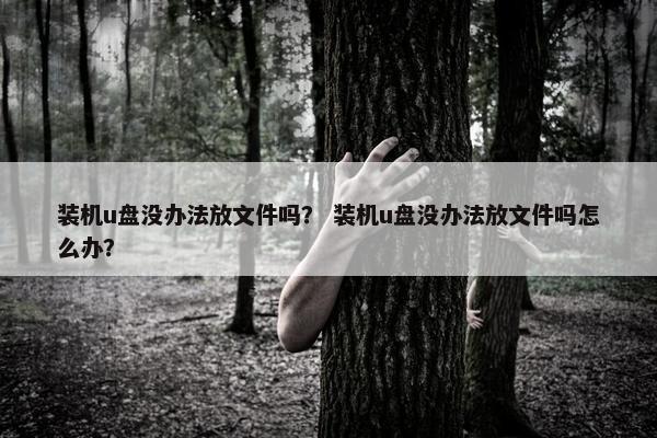 装机u盘没办法放文件吗？ 装机u盘没办法放文件吗怎么办？