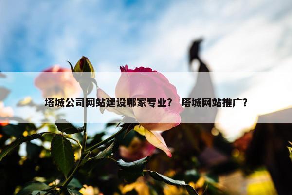 塔城公司网站建设哪家专业？ 塔城网站推广？