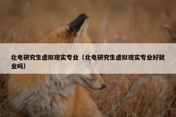 北电研究生虚拟现实专业（北电研究生虚拟现实专业好就业吗）