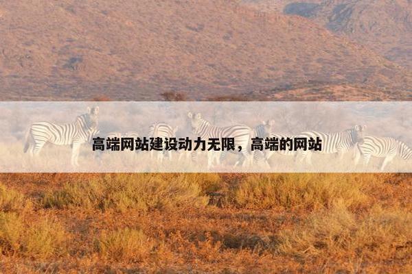 高端网站建设动力无限，高端的网站