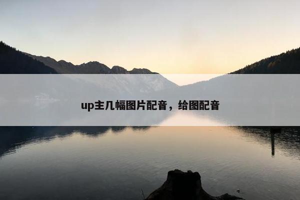 up主几幅图片配音，给图配音