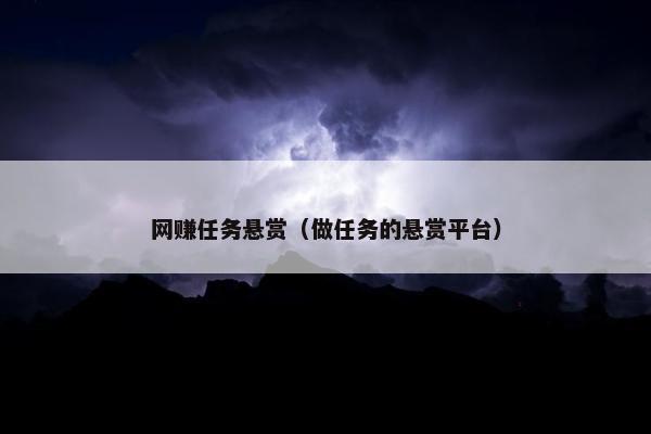 网赚任务悬赏（做任务的悬赏平台）
