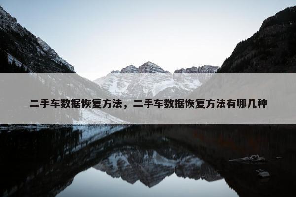 二手车数据恢复方法，二手车数据恢复方法有哪几种