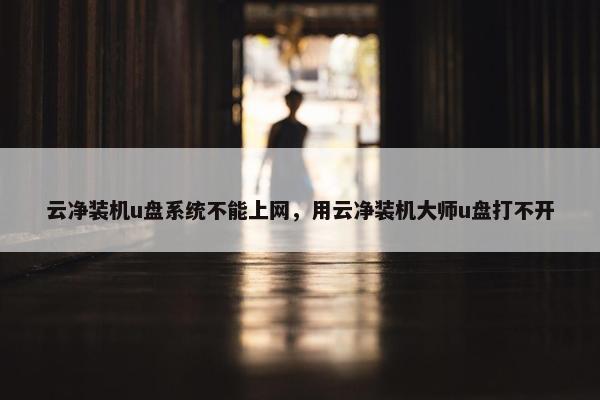 云净装机u盘系统不能上网，用云净装机大师u盘打不开