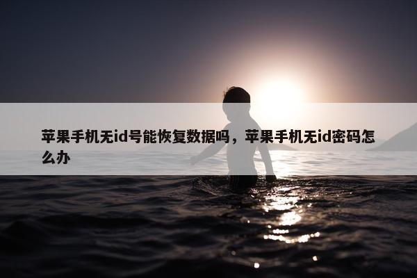 苹果手机无id号能恢复数据吗，苹果手机无id密码怎么办