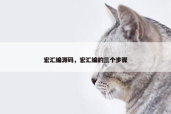 宏汇编源码，宏汇编的三个步骤