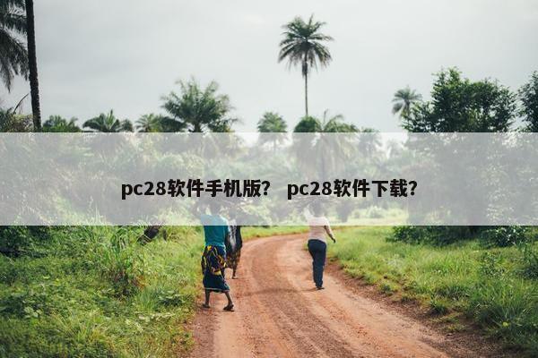 pc28软件手机版？ pc28软件下载？