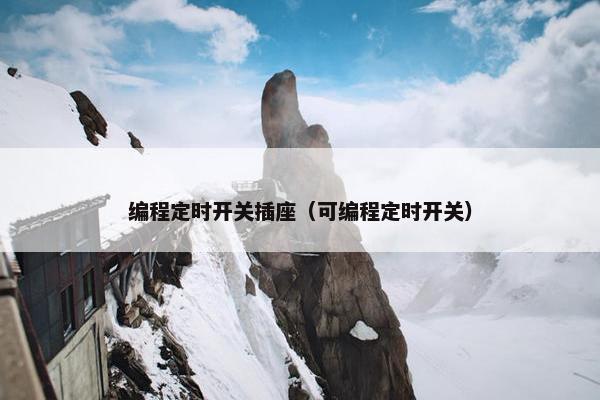 编程定时开关插座（可编程定时开关）