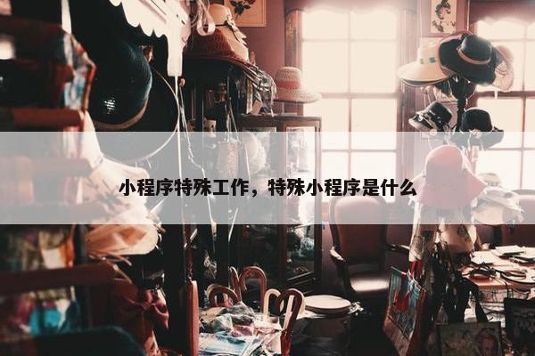 小程序特殊工作，特殊小程序是什么