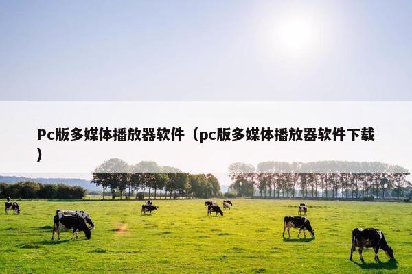 Pc版多媒体播放器软件（pc版多媒体播放器软件下载）