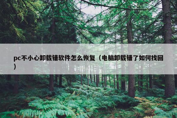 pc不小心卸载错软件怎么恢复（电脑卸载错了如何找回）