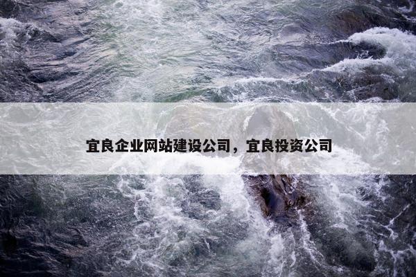 宜良企业网站建设公司，宜良投资公司