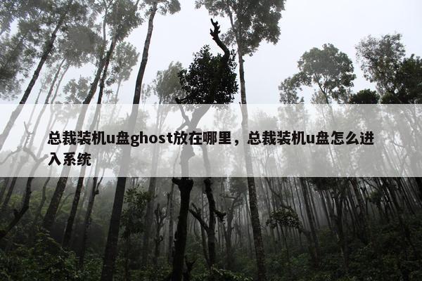 总裁装机u盘ghost放在哪里，总裁装机u盘怎么进入系统