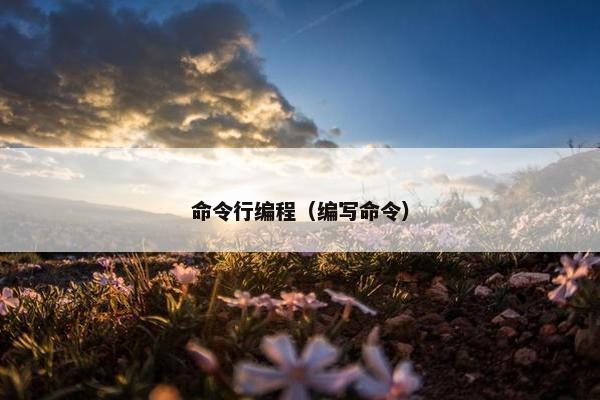 命令行编程（编写命令）