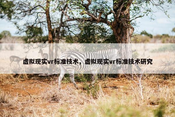 虚拟现实vr标准技术，虚拟现实vr标准技术研究