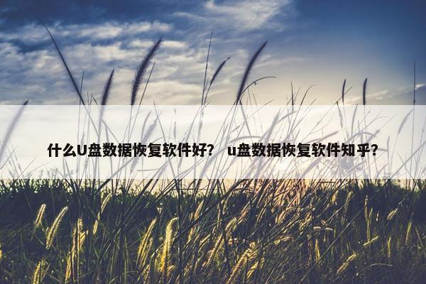 什么U盘数据恢复软件好？ u盘数据恢复软件知乎？