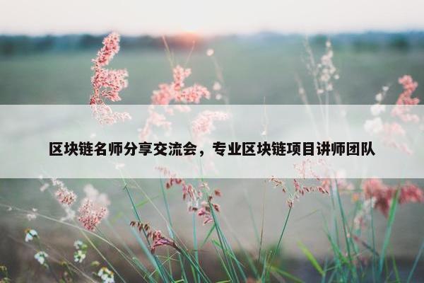 区块链名师分享交流会，专业区块链项目讲师团队