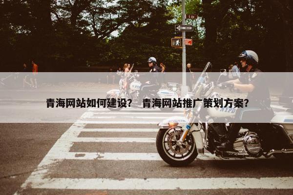 青海网站如何建设？ 青海网站推广策划方案？