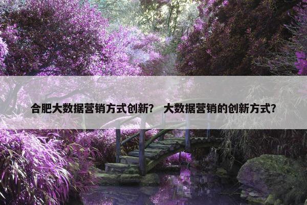 合肥大数据营销方式创新？ 大数据营销的创新方式？