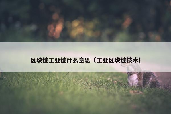区块链工业链什么意思（工业区块链技术）