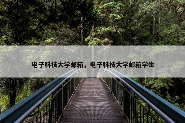 电子科技大学邮箱，电子科技大学邮箱学生