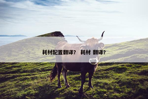 耗材配置翻译？ 耗材 翻译？