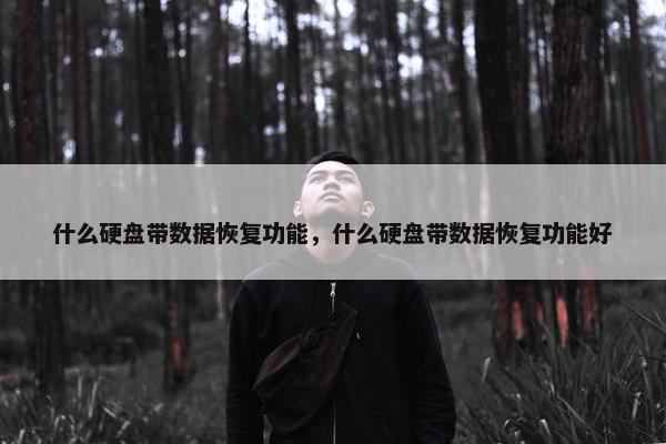 什么硬盘带数据恢复功能，什么硬盘带数据恢复功能好