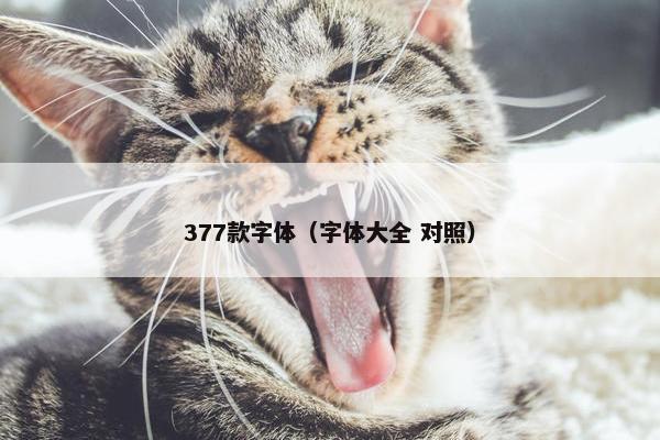 377款字体（字体大全 对照）