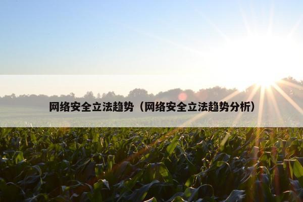 网络安全立法趋势（网络安全立法趋势分析）