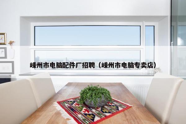 嵊州市电脑配件厂招聘（嵊州市电脑专卖店）