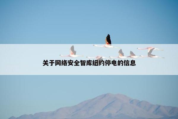 关于网络安全智库纽约停电的信息
