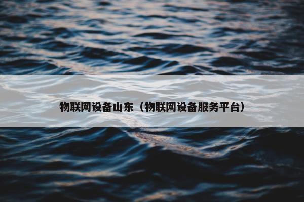 物联网设备山东（物联网设备服务平台）