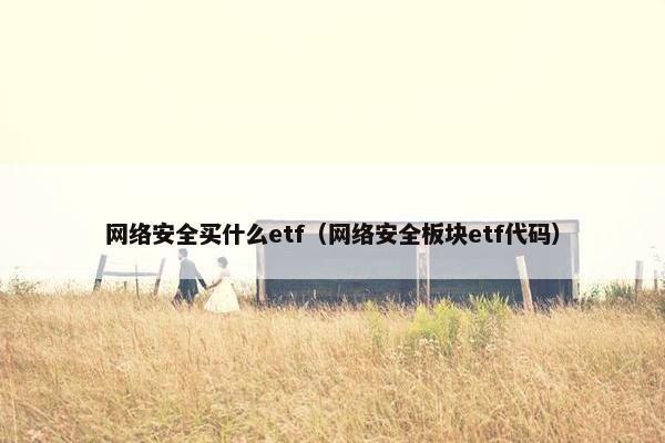 网络安全买什么etf（网络安全板块etf代码）