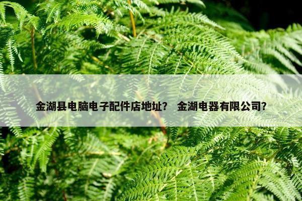 金湖县电脑电子配件店地址？ 金湖电器有限公司？
