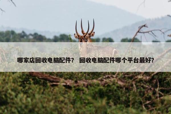 哪家店回收电脑配件？ 回收电脑配件哪个平台最好？
