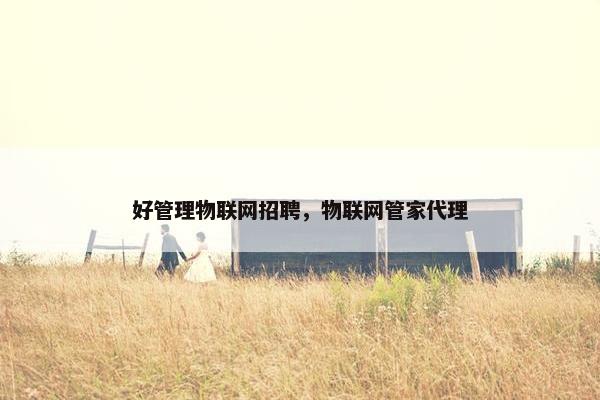 好管理物联网招聘，物联网管家代理