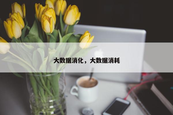 大数据消化，大数据消耗