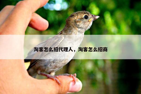 淘客怎么招代理人，淘客怎么招商