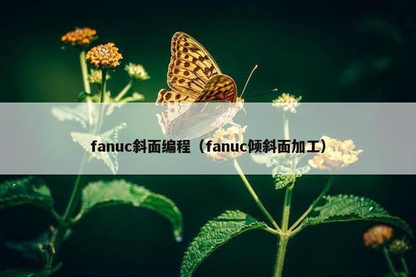 fanuc斜面编程（fanuc倾斜面加工）