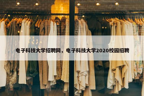电子科技大学招聘网，电子科技大学2020校园招聘