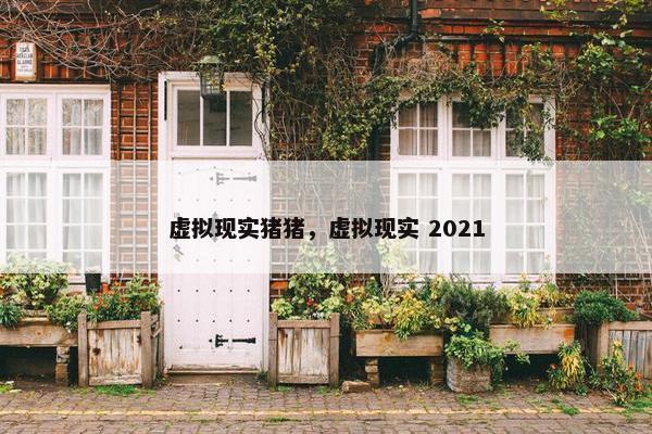 虚拟现实猪猪，虚拟现实 2021